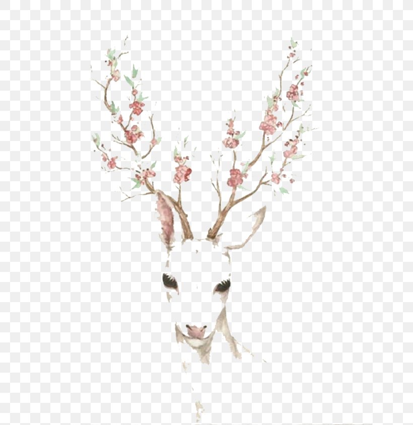 Deer Antler Elk Cherry Blossom Paper, PNG, 658x844px, Deer, Antler, Art, Blossom, Branch Download Free
