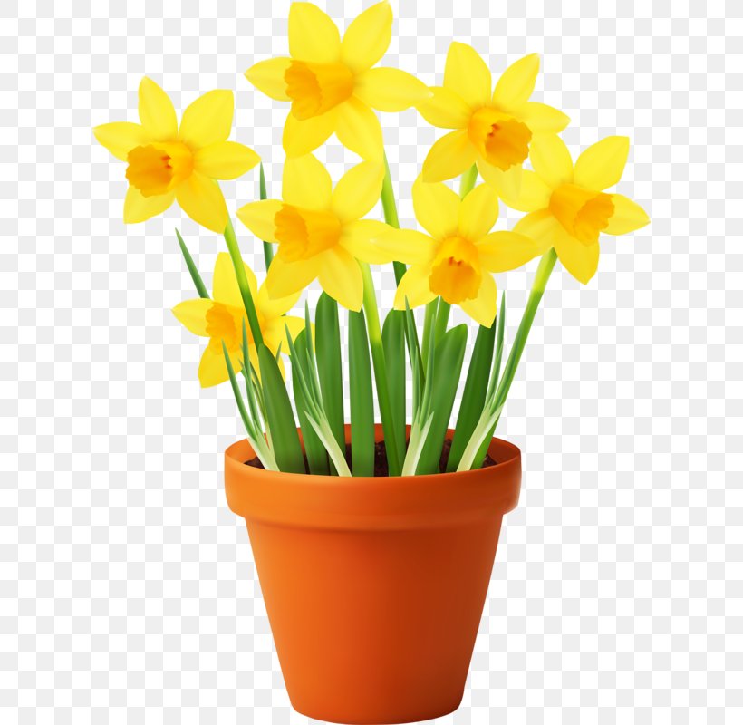 Flowerpot Vector Graphics Clip Art Illustration, PNG, 618x800px, Flowerpot, Amaryllis Family, Container Garden, Cut Flowers, Decorative Arts Download Free