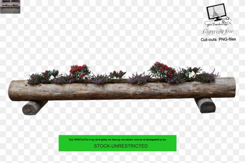 Tree Furniture Bac A Fleurs Trunk Wood, PNG, 1024x682px, Tree, Evergreen, Flower, Furniture, Garden Download Free