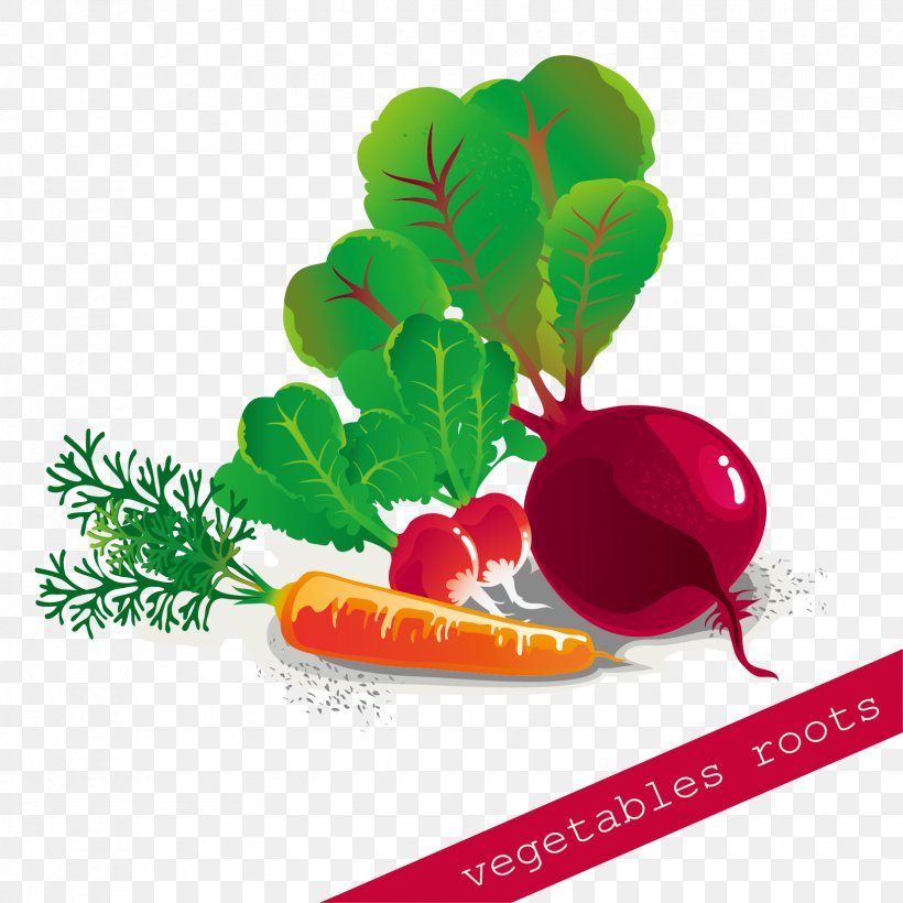 Vegetable Carrot, PNG, 1654x1654px, Vegetable, Art, Carrot, Food, Fruit Download Free