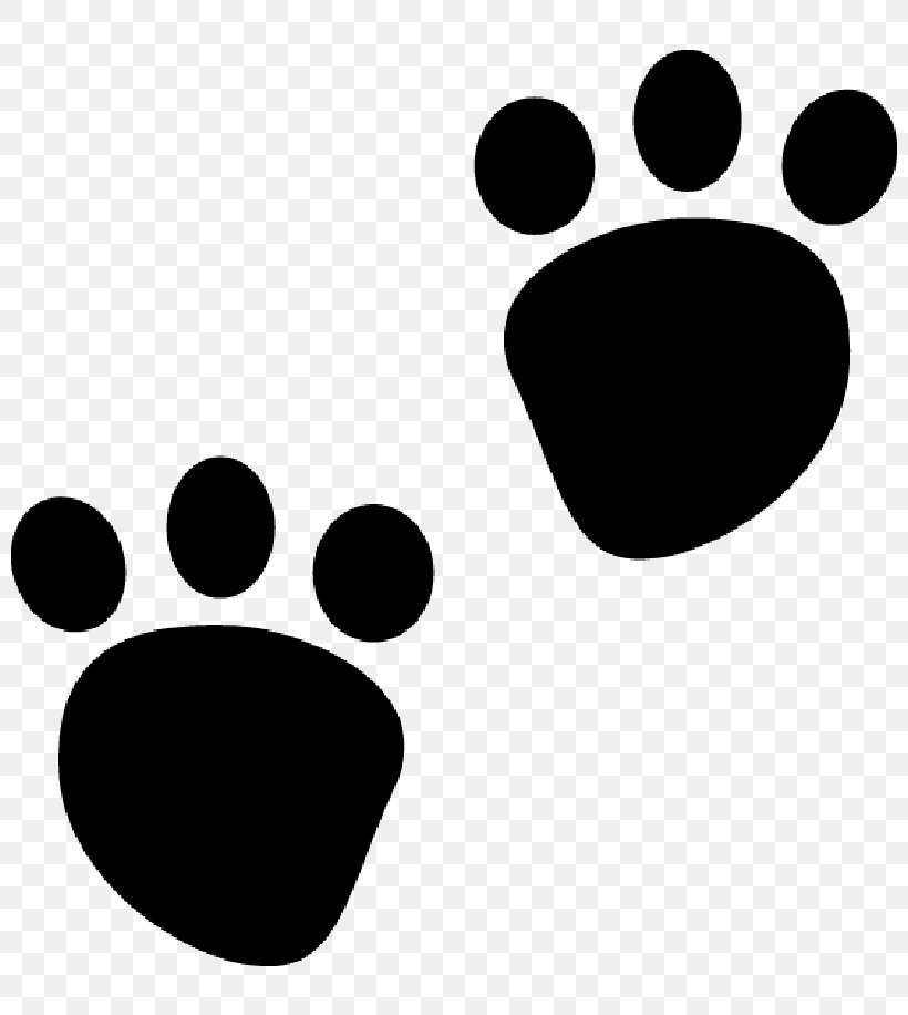 Paw Dog Clip Art, PNG, 800x916px, Paw, Art, Bear, Black, Black And White Download Free