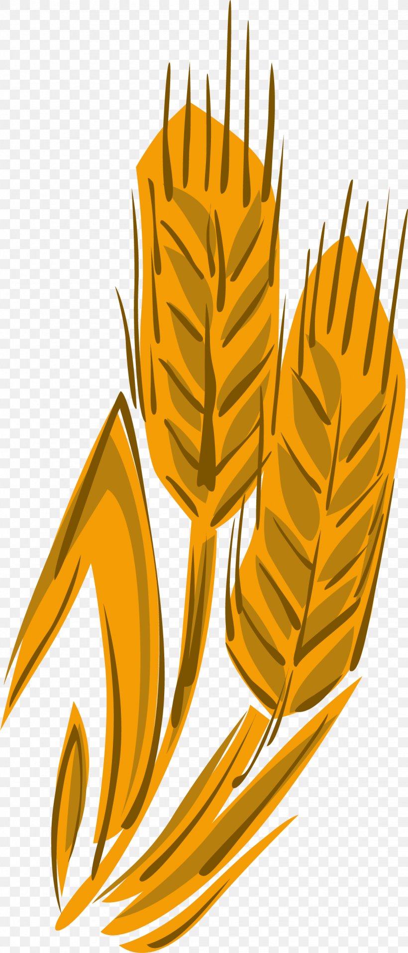 Wheat Clip Art, PNG, 1232x2875px, Wheat, Cereal, Claw, Commodity, Coreldraw Download Free