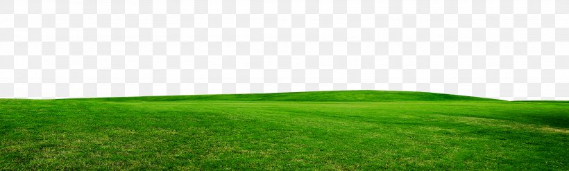 Artificial Turf Grassland Land Lot Energy Wallpaper, PNG, 3543x1068px, Artificial Turf, Computer, Energy, Family, Field Download Free