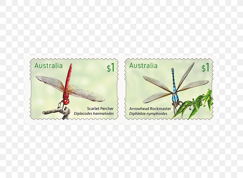 Postage Stamps Dragonfly Insect Max Stern & Co Adhesive, PNG, 800x600px, 2017, Postage Stamps, Adhesive, Australia, Butterfly Download Free