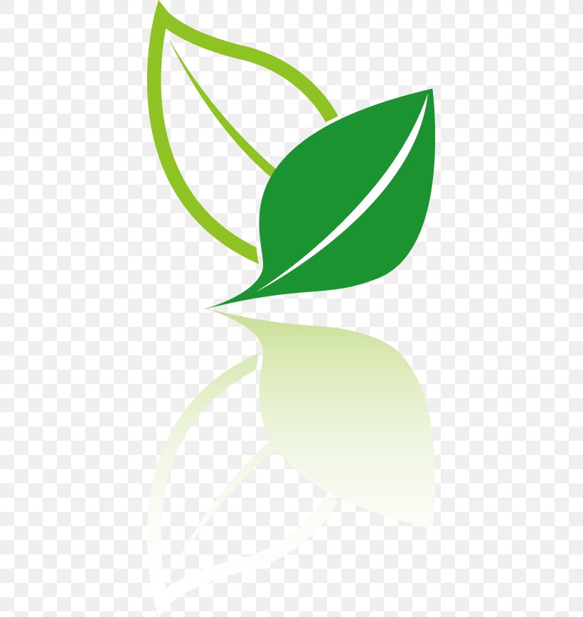 Tea Logo Icon Png 405x868px Tea Area Grass Green Icon Design Download Free