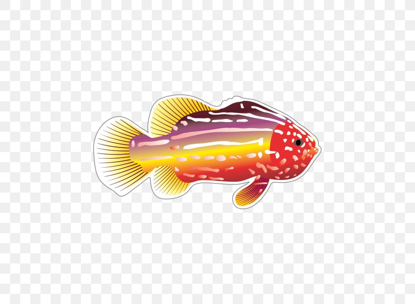 Fish Drawing Clip Art, PNG, 600x600px, Fish, Bass, Deep Sea, Deep Sea Fish, Drawing Download Free