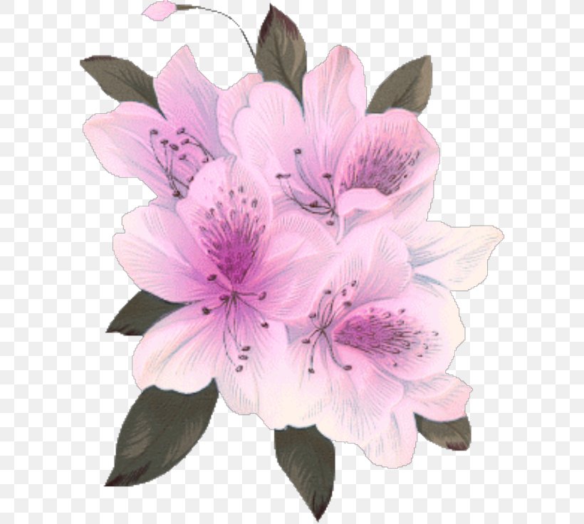 Flower Bouquet Desktop Wallpaper, PNG, 600x736px, Flower, Alstroemeriaceae, Azalea, Birthday, Blossom Download Free