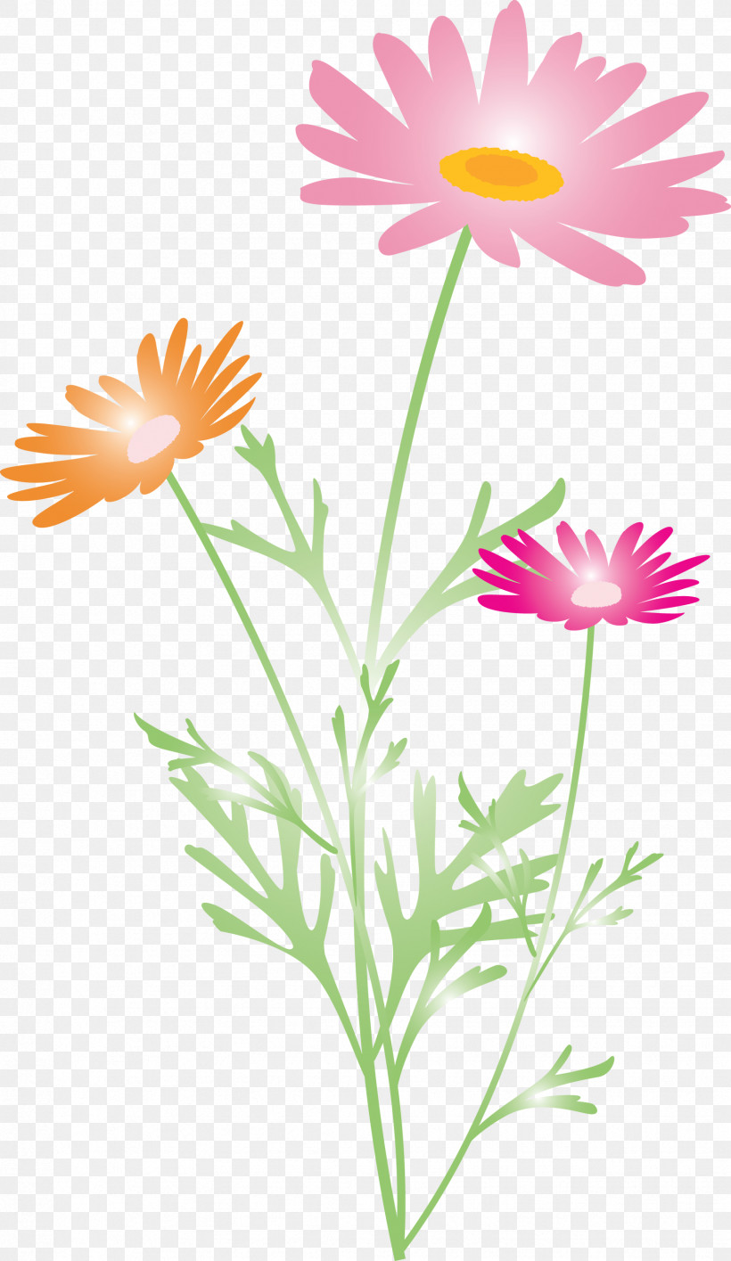 Marguerite Flower Spring Flower, PNG, 1737x2999px, Marguerite Flower, African Daisy, Camomile, Chamomile, Daisy Download Free