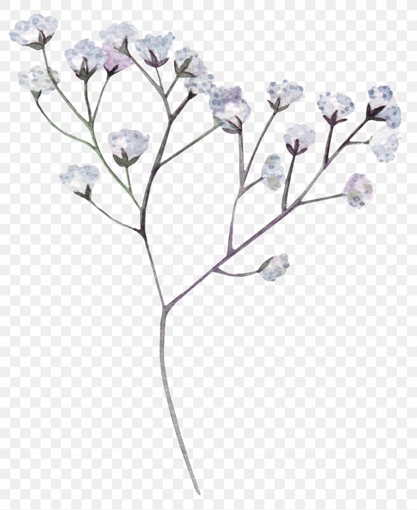 Flower Image Clip Art White, PNG, 1024x1251px, Flower, Blossom, Body Jewelry, Branch, Cut Flowers Download Free