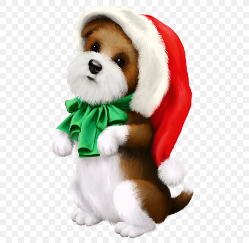 Puppy Dog Breed Shih Tzu Hokkaido Dog Samoyed Dog, PNG, 495x800px, Puppy, Animal, Breed, Canidae, Carnivoran Download Free