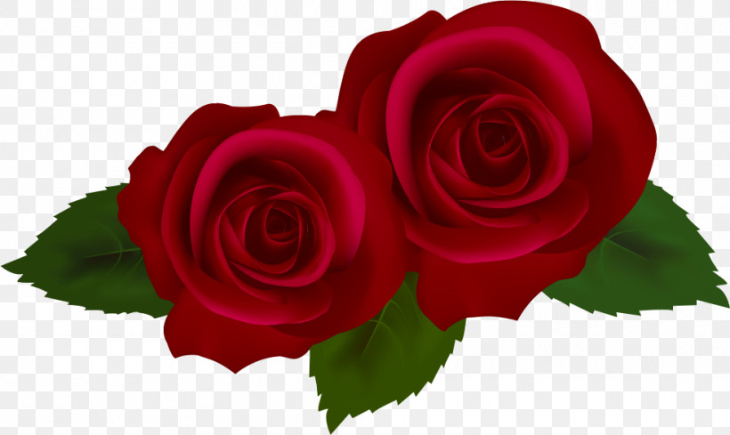 Two Flowers Two Roses Valentines Day, PNG, 986x589px, Two Flowers, Bouquet, Closeup, Cut Flowers, Floribunda Download Free