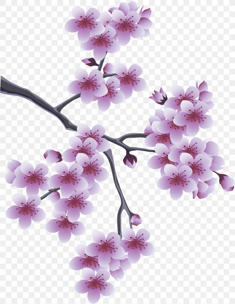 Spring Clip Art, PNG, 1203x1557px, Spring, Blossom, Branch, Cherry Blossom, Display Resolution Download Free