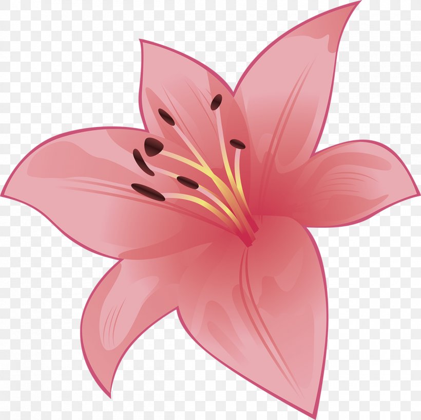 Cut Flowers Liliaceae Plant Lilium, PNG, 1200x1197px, Flower, Cut Flowers, Family, Flora, Flowering Plant Download Free