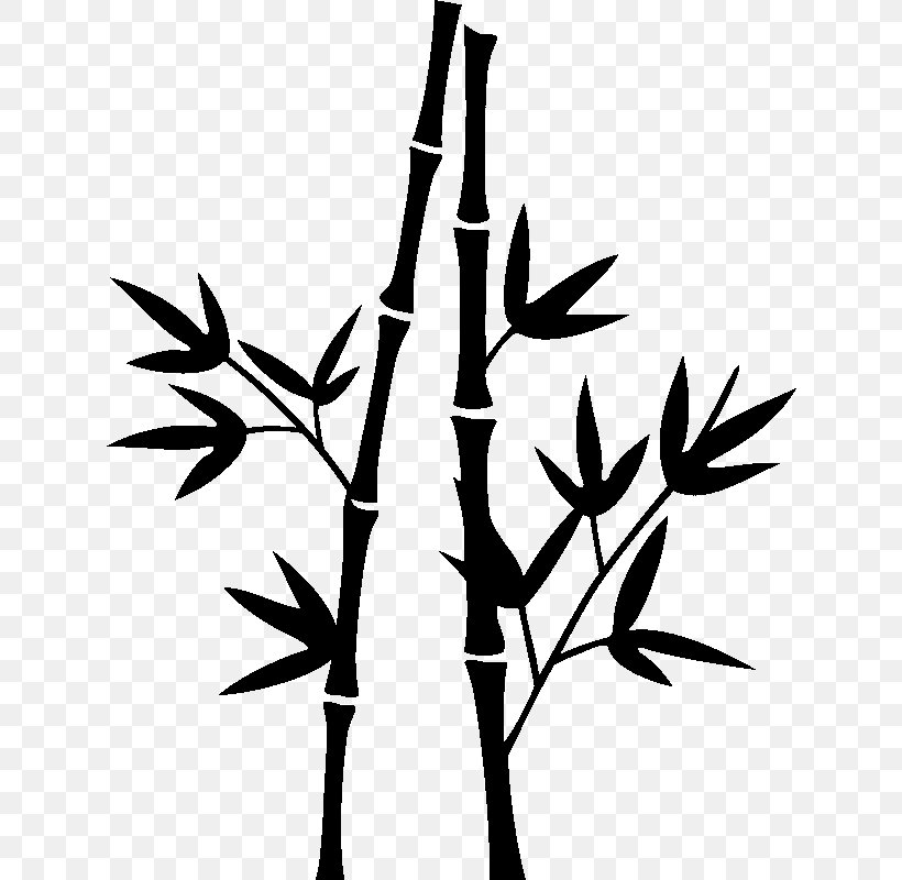 Family Tree Silhouette, PNG, 800x800px, Drawing, Bamboo, Bamboo Painting, Bambusodae, Blackandwhite Download Free