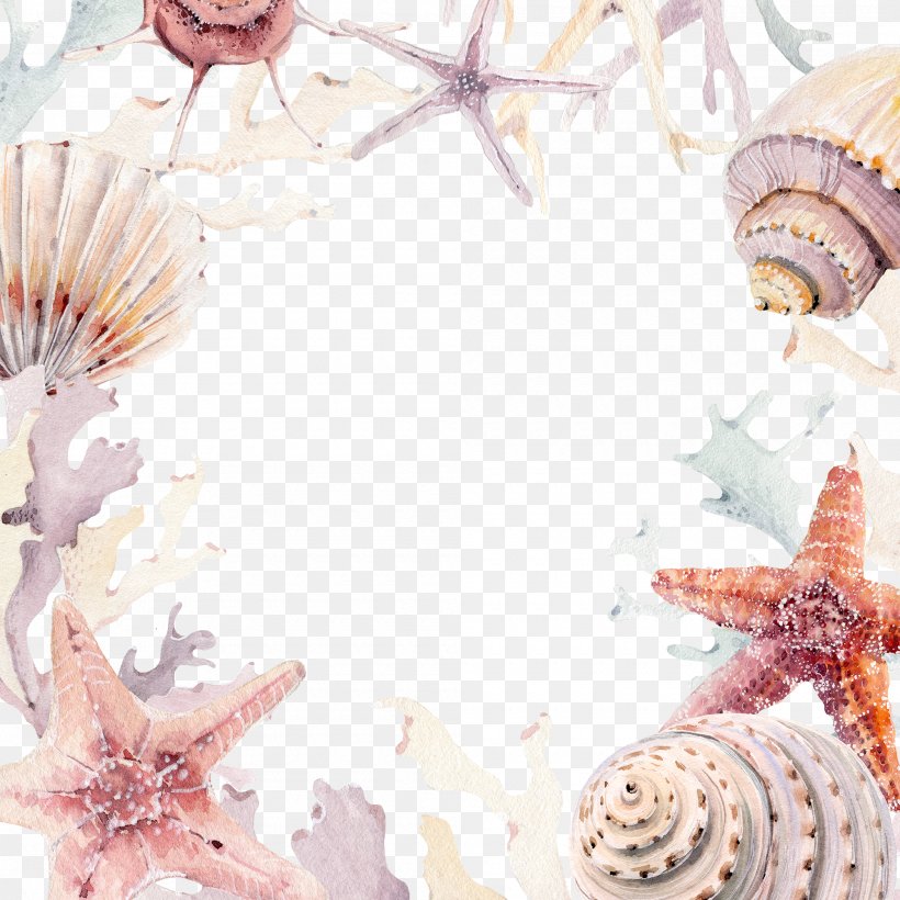 Wedding Invitation Seashell Beach Convite, PNG, 2000x2000px, Wedding Invitation, Beach, Coast, Conchology, Convite Download Free