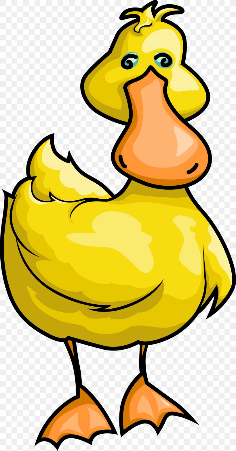 Duck Bird Goose Yellow, PNG, 1312x2500px, Duck, Artwork, Beak, Bird, Black And White Download Free