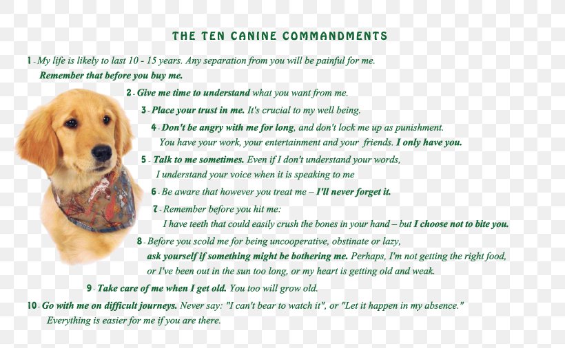Golden Retriever Puppy Dog Breed Companion Dog, PNG, 800x506px, 2018, Golden Retriever, Animal, Breed, Carnivoran Download Free
