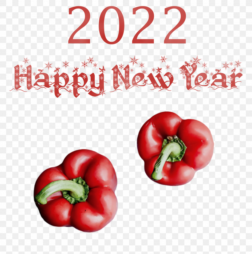 Tomato, PNG, 2970x3000px, Watercolor, Barbados Cherry, Bell Pepper, Bush Tomato, Chili Pepper Download Free