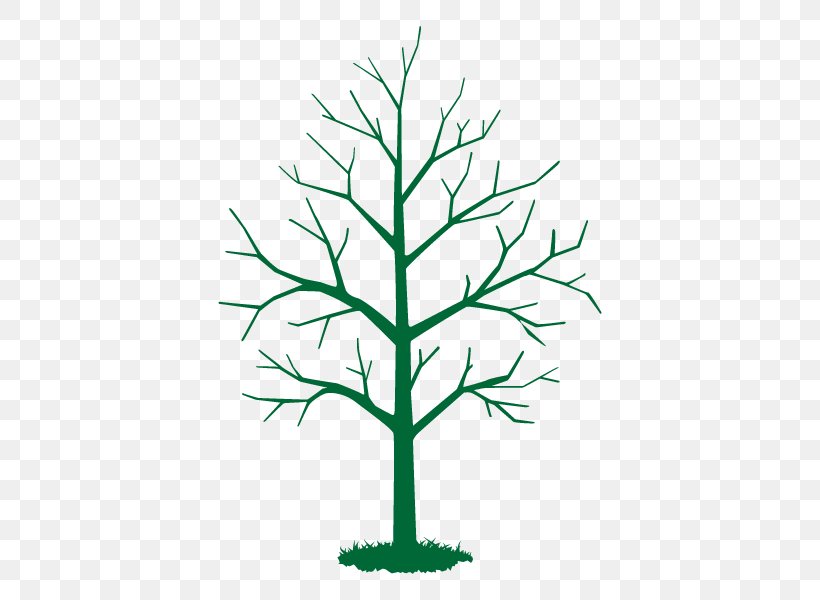 Twig Leaf Vector Graphics Tree Stock Photography, PNG, 600x600px, Twig, Apples, Branch, Depositphotos, Grass Download Free