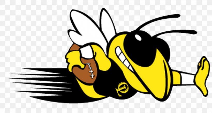 High School, PNG, 1920x1029px, Honey Bee, Bee, Bumblebee, Carpenter Bee, Cartoon Download Free
