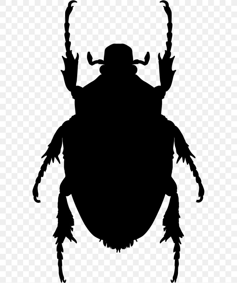 Insect Shape Mosquito Brown Marmorated Stink Bug Pest, PNG, 596x981px, Insect, Animal, Black And White, Brown Marmorated Stink Bug, Fictional Character Download Free