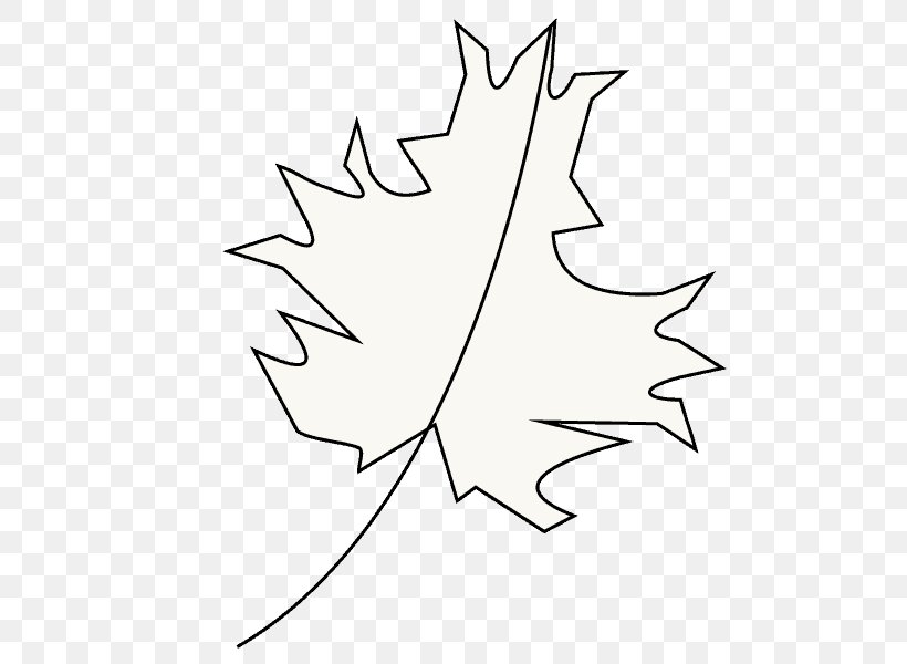 Maple Leaf Twig White Clip Art, PNG, 678x600px, Maple Leaf, Area, Artwork, Black And White, Branch Download Free