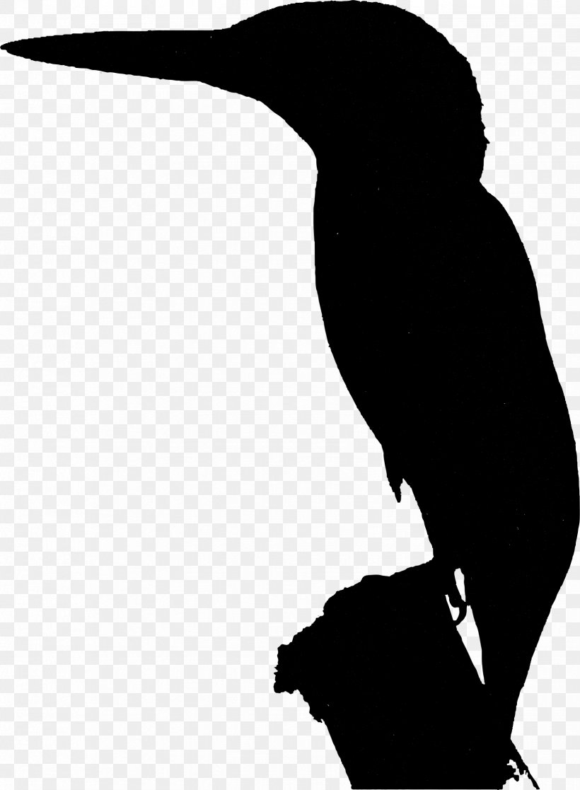 Beak Water Bird Clip Art Silhouette, PNG, 1648x2246px, Beak, Arm Architecture, Arm Cortexm, Bird, Coraciiformes Download Free
