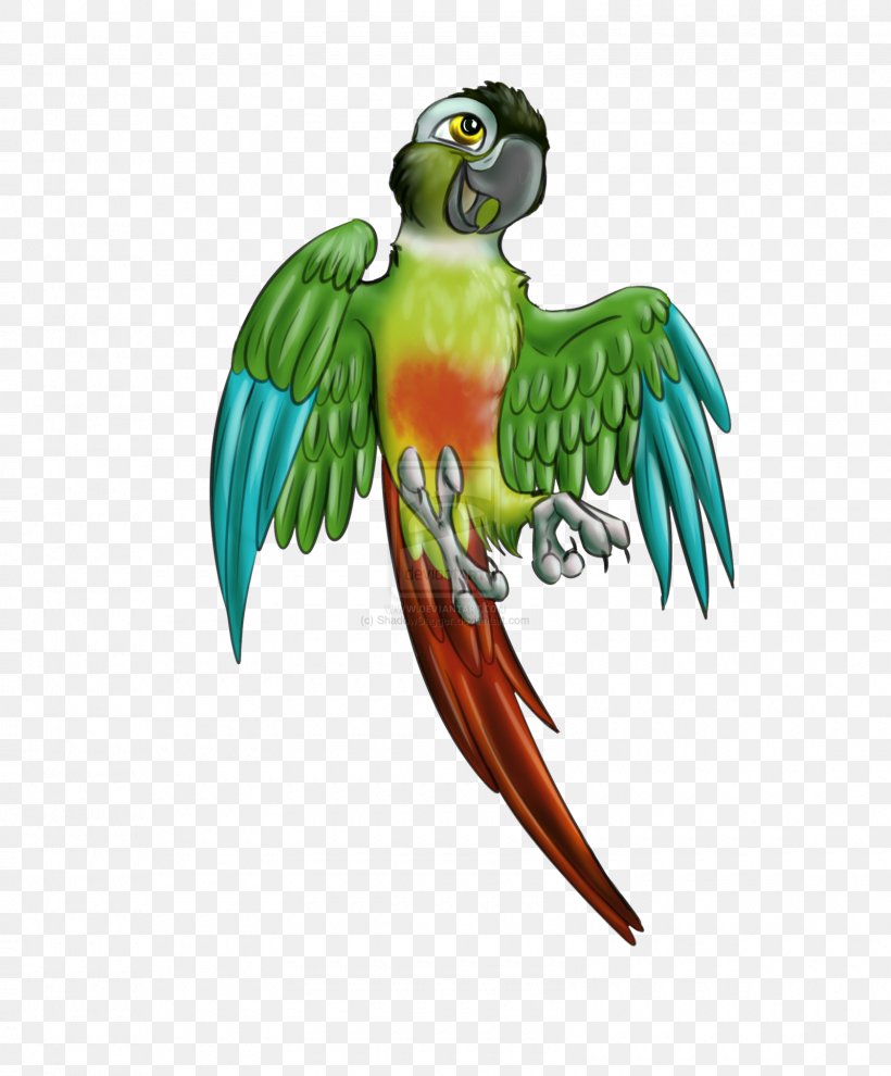 Budgerigar Lovebird Parrot Macaw Conure, PNG, 1600x1933px, Budgerigar, Beak, Bird, Burrowing Parrot, Common Pet Parakeet Download Free
