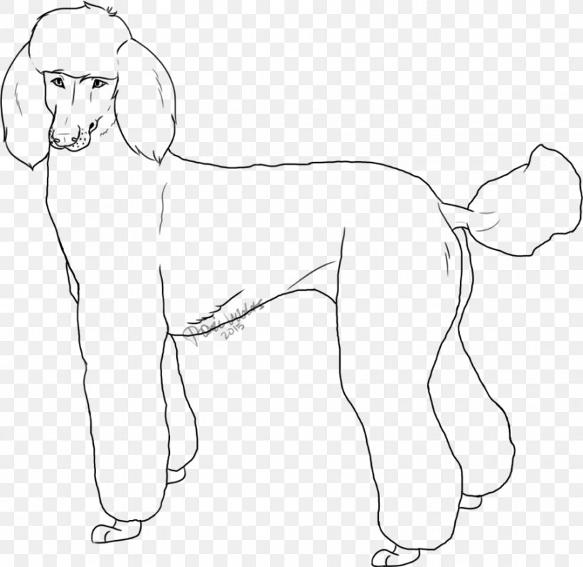 Dog Breed Standard Poodle Line Art Miniature Poodle, PNG, 906x882px, Watercolor, Cartoon, Flower, Frame, Heart Download Free