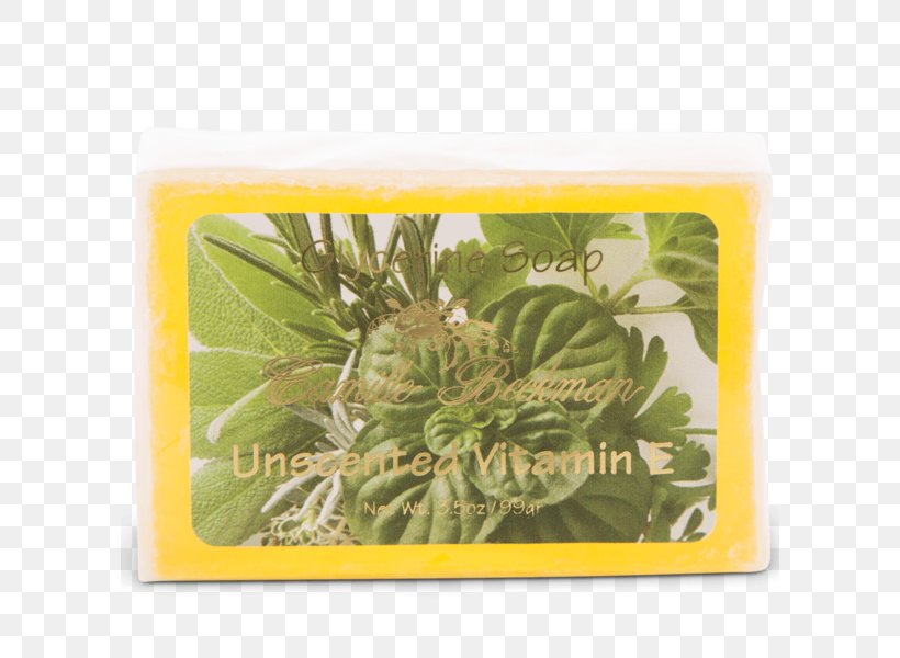 Glycerin Soap Leaf Vitamin E Glycerol, PNG, 600x600px, Glycerin Soap, Glycerol, Leaf, Plant, Soap Download Free