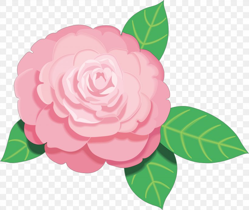 Pink Flowers Clip Art, PNG, 2296x1941px, Pink Flowers, Camellia, Camellia Sasanqua, Cartoon, Floral Design Download Free