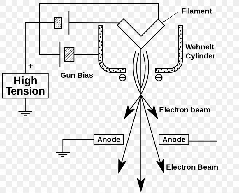 Biological Electron Microscopy Electron Gun Electron Microscope Transmission Electron Microscopy, PNG, 1270x1024px, Watercolor, Cartoon, Flower, Frame, Heart Download Free