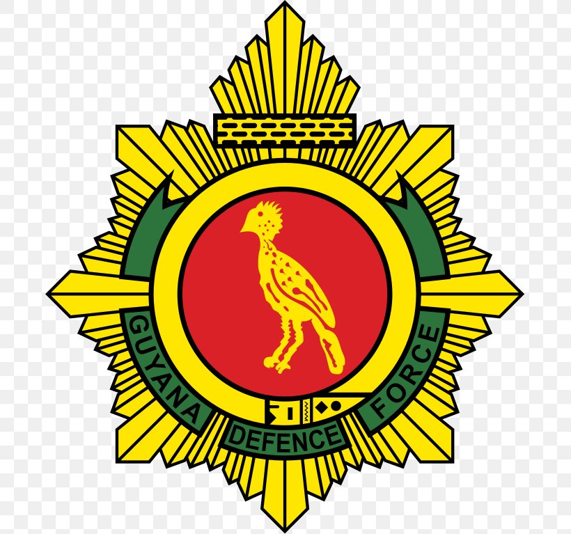 Guyana Defence Force FC Defence Force F.C. Georgetown GFF Elite League, PNG, 689x767px, Guyana Defence Force Fc, Area, Army Officer, Artwork, Beak Download Free