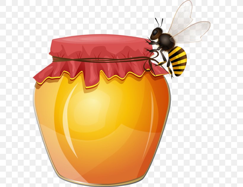 Honey Bee Clip Art Honeycomb, PNG, 600x632px, Bee, Beehive, Honey, Honey Bee, Honeycomb Download Free