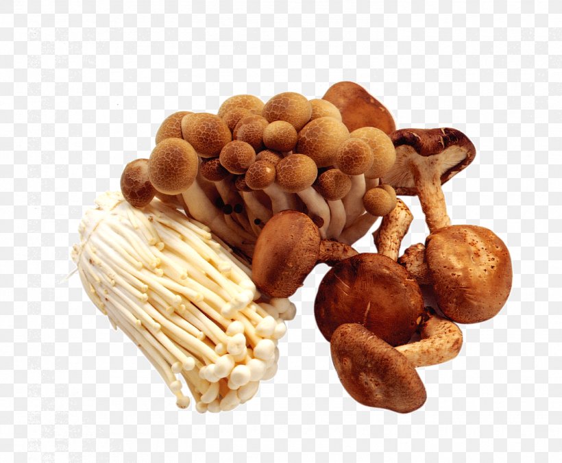 Mushroom Kombucha Food Pantothenic Acid Vitamin, PNG, 1470x1213px, Kombucha, B Vitamins, Common Mushroom, Cooking, Dietary Reference Intake Download Free