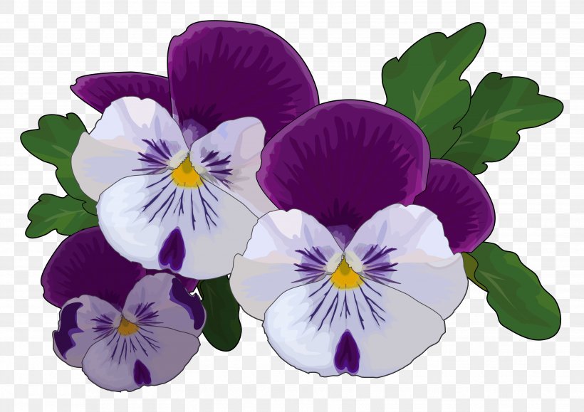 Pansy Drawing Flower Violet Thought, PNG, 3508x2480px, Pansy, Annual Plant, Common Sunflower, Drawing, Flower Download Free