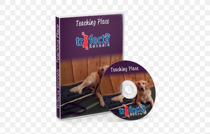 Teacher Teaching Method Education Dog, PNG, 497x526px, Teacher, Dog, Dvd, Education, Foreign Language Download Free