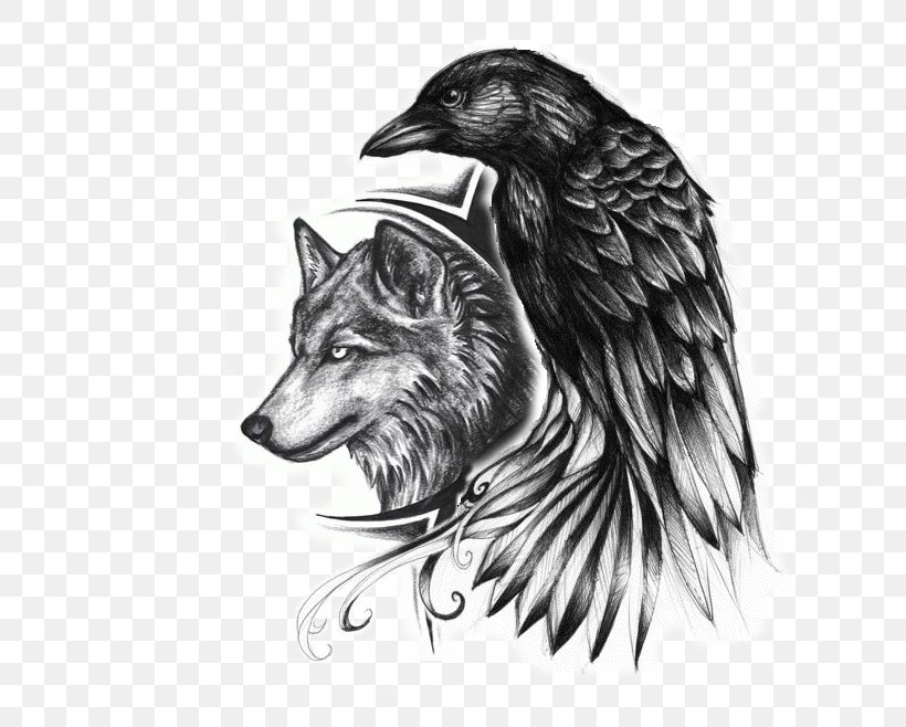 Common Raven Indian Wolf Tattoo Drawing, PNG, 698x658px, Common Raven, Abziehtattoo, Beak, Bird, Bird Of Prey Download Free