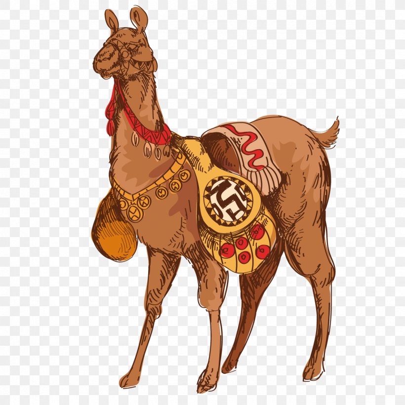 Dromedary Llama Guanaco Drawing, PNG, 1276x1276px, Dromedary, Arabian Camel, Camel, Camel Like Mammal, Desert Download Free