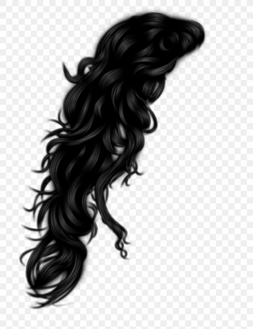 Hairstyle, PNG, 1024x1334px, Hair, Afro, Afro Textured Hair, Black And White, Black Hair Download Free