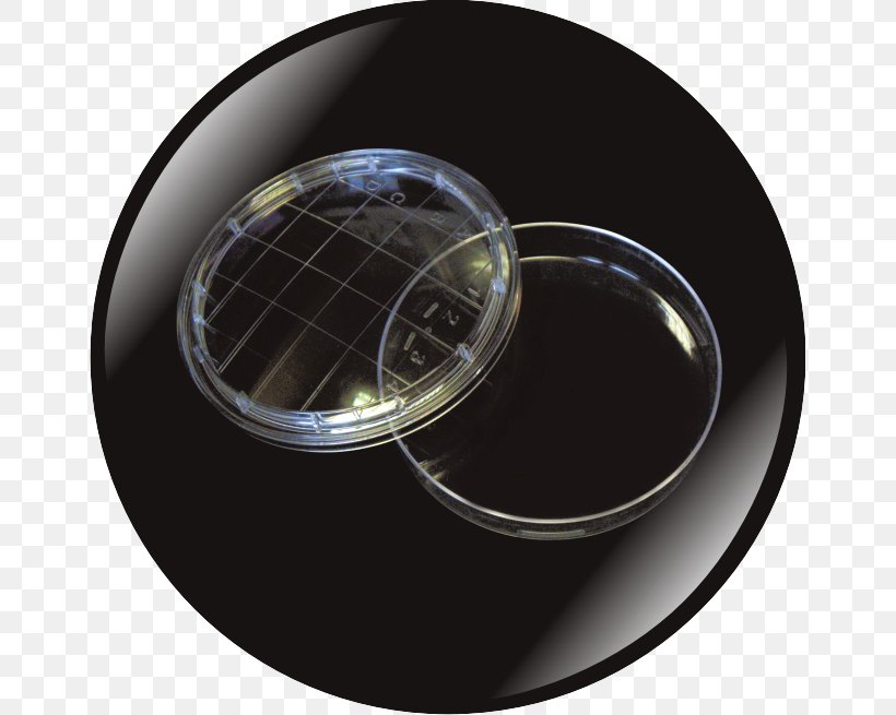 Petri Dishes Sterilization Plastic Diameter, PNG, 655x655px, Petri Dishes, Asepsis, Diameter, Light, Material Download Free