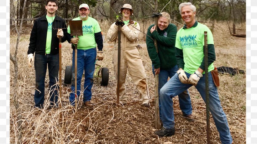 Tree Planting Keep Oklahoma Beautiful, Inc Soil Money, PNG, 1024x576px, Tree, Community, Forest, Grant, Grass Download Free