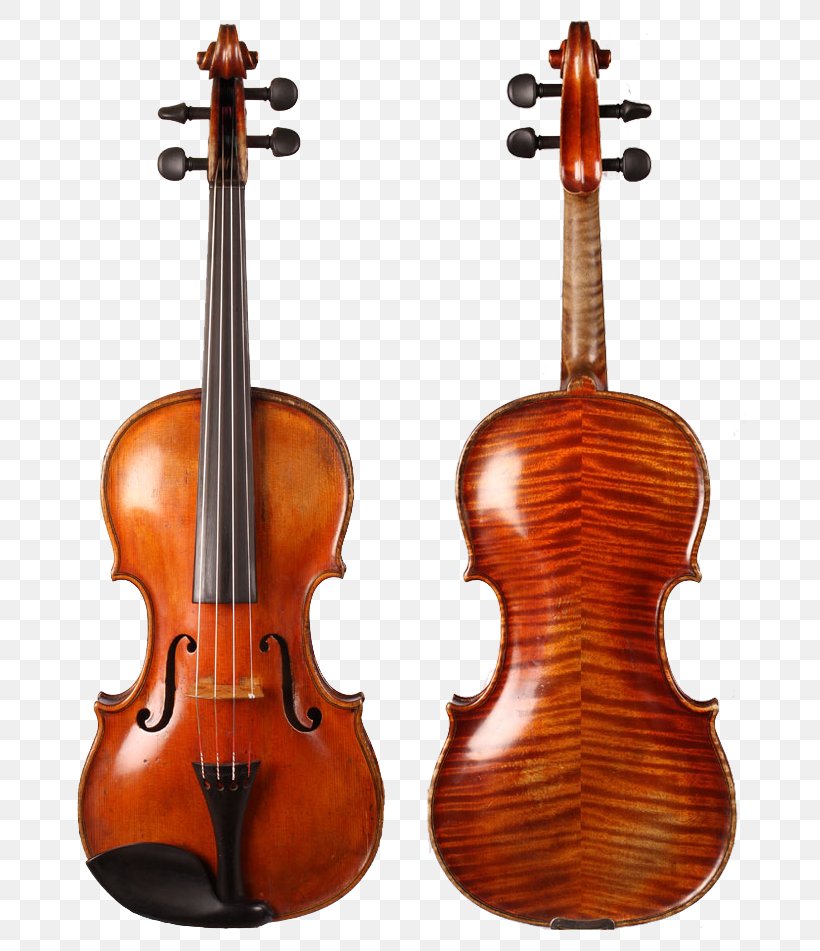 Violin Family Stradivarius Bow String Instruments, PNG, 720x951px, Violin, Acoustic Electric Guitar, Amati, Antonio Stradivari, Bass Violin Download Free