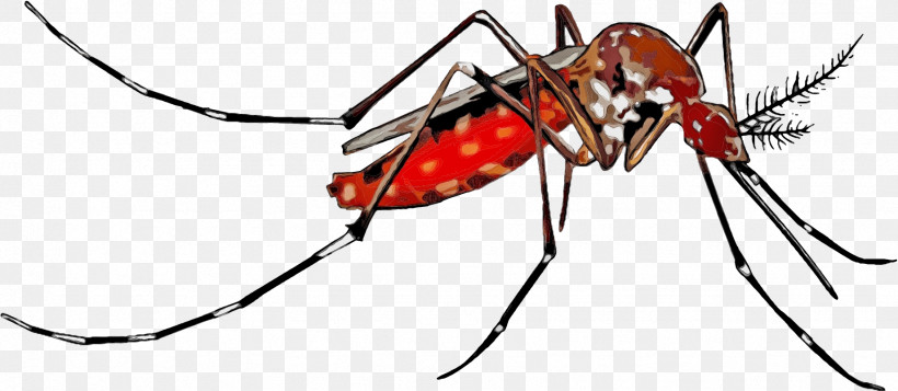 Mosquito Yellow Fever Mosquito Dengue Fever Zika Virus Chikungunya Virus Infection, PNG, 1842x803px, Watercolor, Aedes, Chikungunya Virus Infection, Dengue Fever, Health Download Free