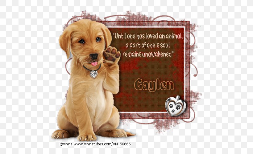 Puppy Dog Breed Companion Dog Whiskers, PNG, 500x500px, Puppy, Breed, Carnivoran, Companion Dog, Crossbreed Download Free