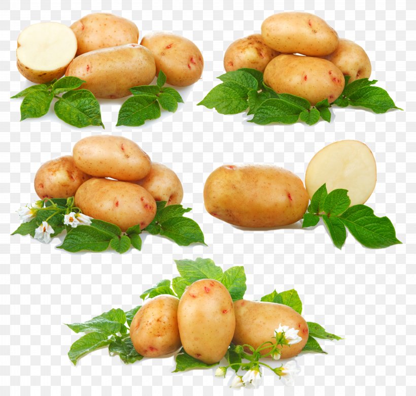 French Fries Sweet Potato Vegetable, PNG, 6496x6185px, French Fries, Cauliflower, Common Bean, Crop Yield, Dish Download Free
