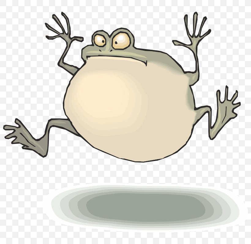 Kermit The Frog Animation Frog Jumping Contest Clip Art, PNG, 800x800px, Frog, Amphibian, Animation, Artwork, Cartoon Download Free