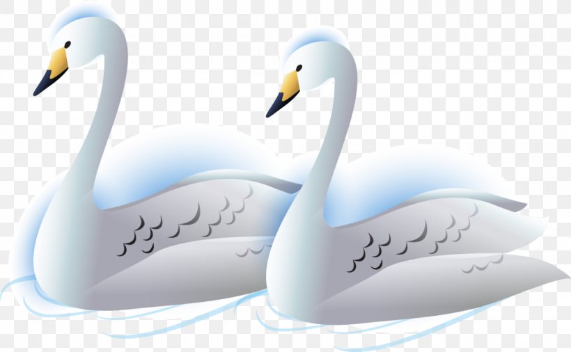 Cygnini Duck Beak, PNG, 1024x632px, Cygnini, Beak, Bird, Duck, Ducks Geese And Swans Download Free