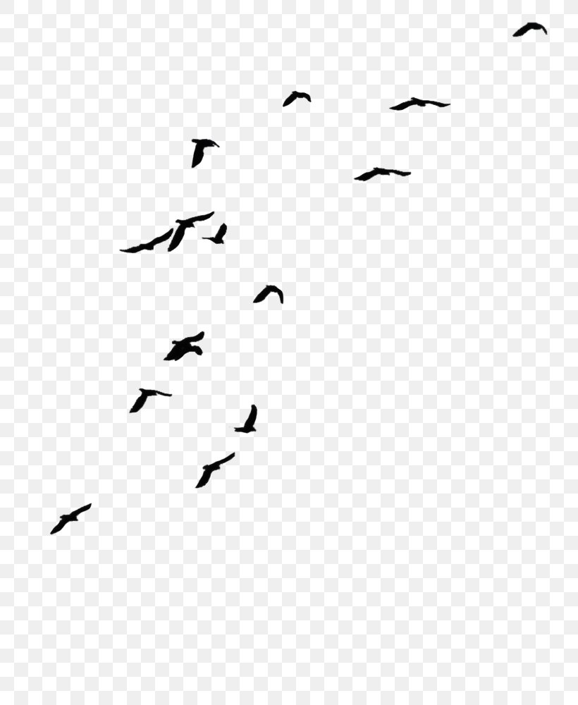 Drawing Clip Art, PNG, 773x1000px, Drawing, Animal Migration, Architecture, Area, Beak Download Free