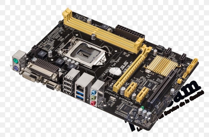 Intel LGA 1150 CPU Socket Motherboard MicroATX, PNG, 800x537px, Intel, Atx, Celeron, Central Processing Unit, Computer Component Download Free